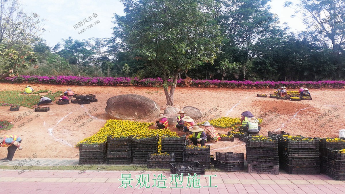 广州黄埔九龙大道市政花海设计园林工程