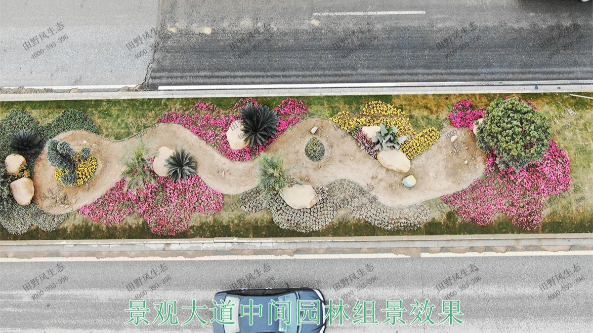 广州黄埔九龙大道市政花海设计园林工程