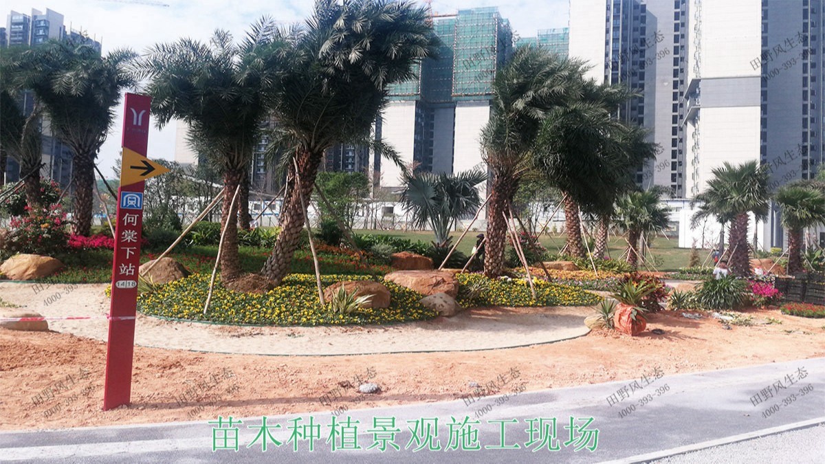 广东河源滨江大道园林景观工程