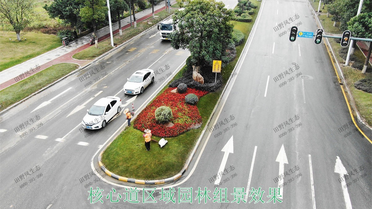 广东河源滨江大道园林景观工程