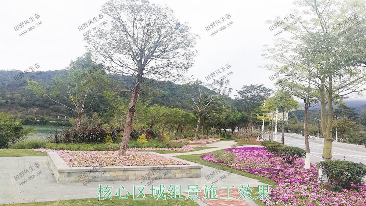 广东河源滨江大道园林景观工程