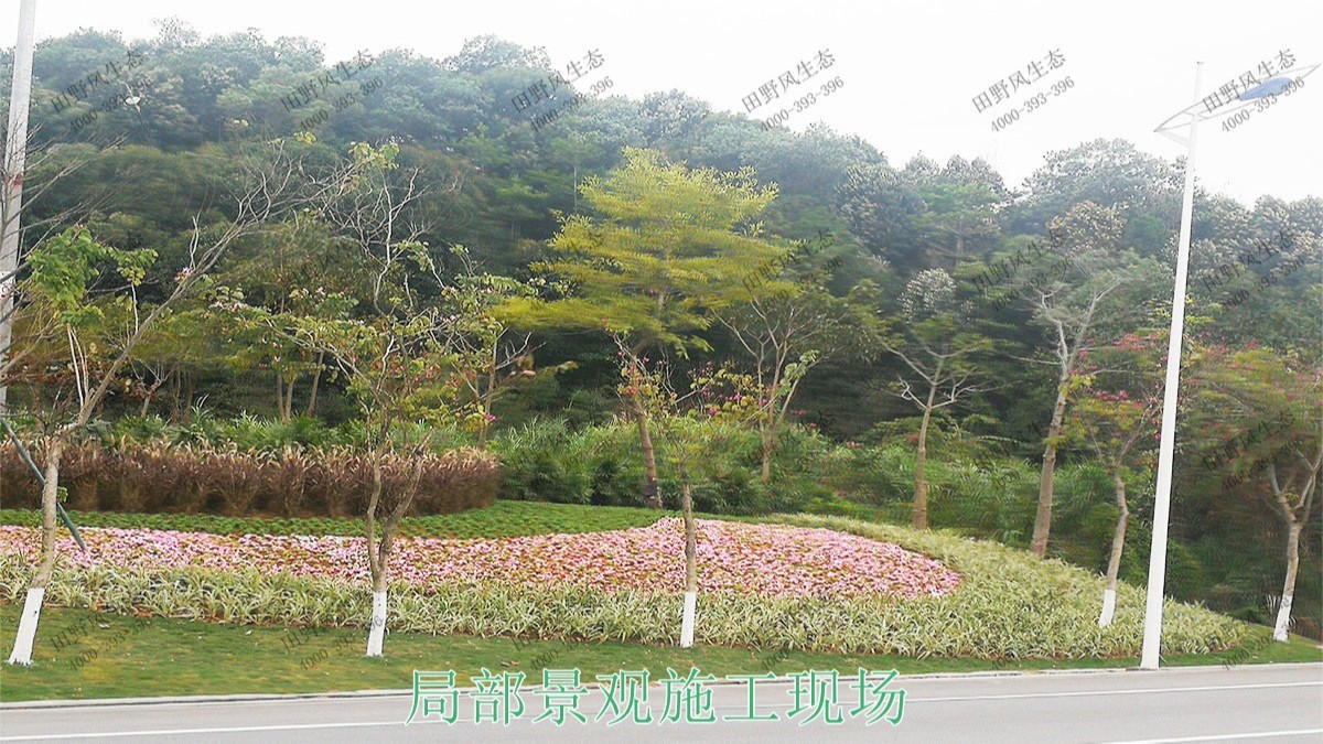 广东河源滨江大道园林景观工程