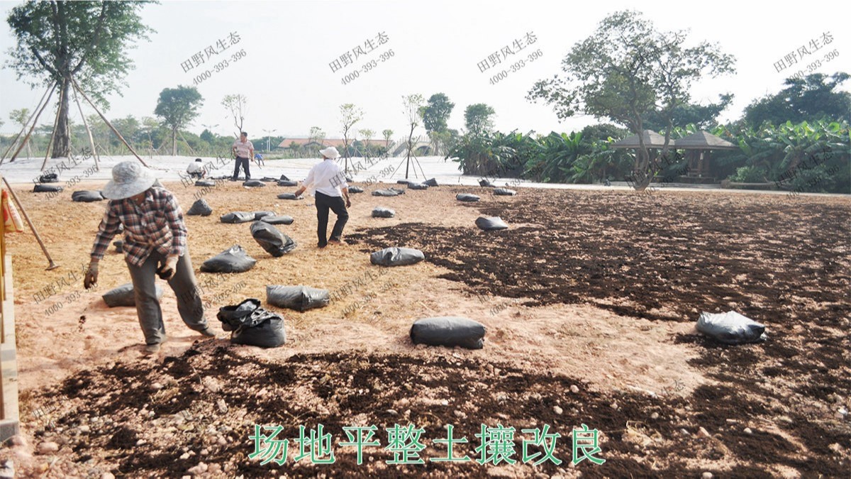 广州海珠湖湿地公园花海工程