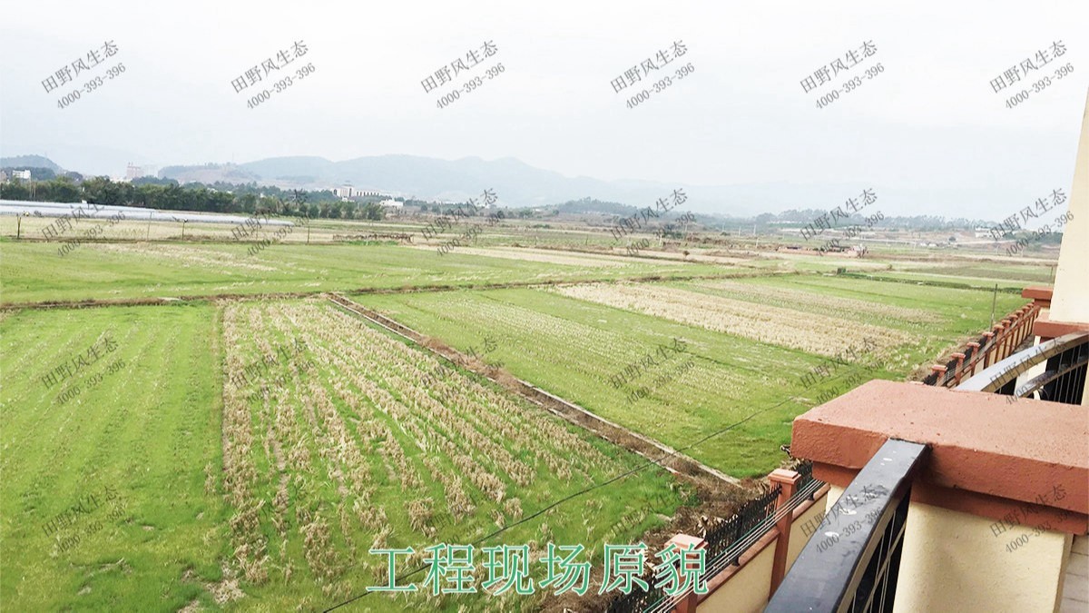 广东丹霞山国家森林公园花海工程
