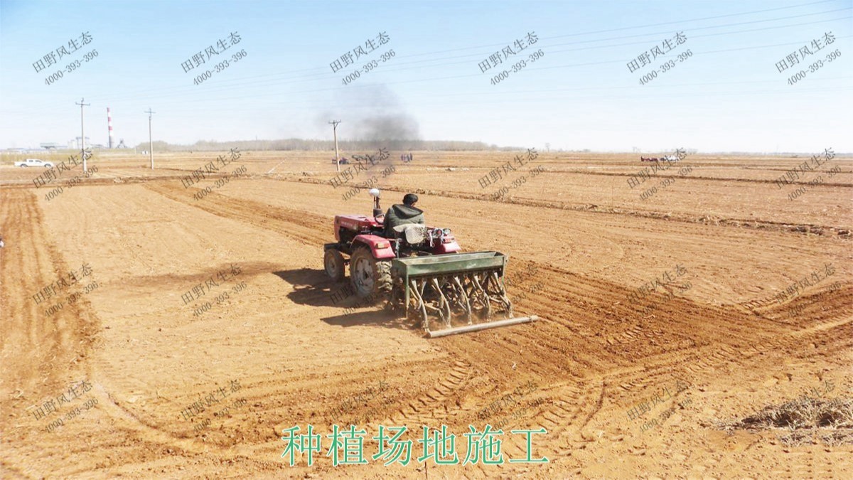 广东丹霞山国家森林公园花海工程