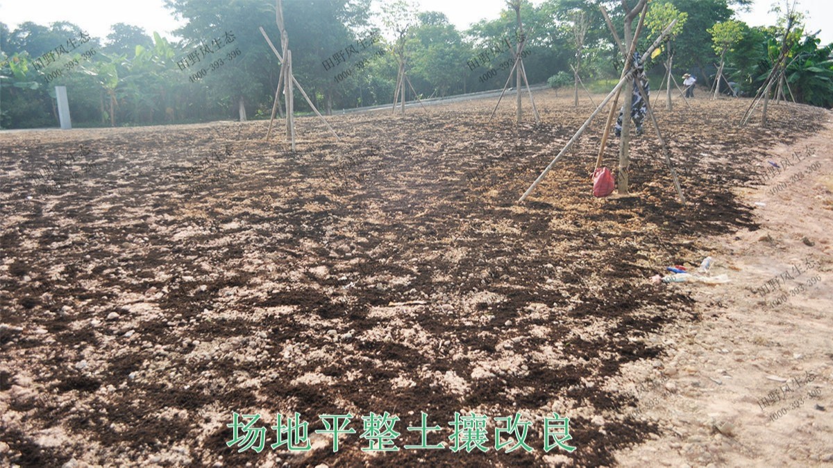 广东丹霞山国家森林公园花海工程