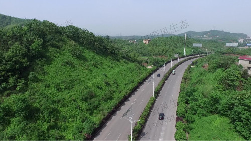 济广高速平远段高速公路边坡复绿工程