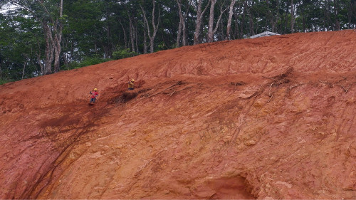 济广高速平远段高速公路边坡复绿工程