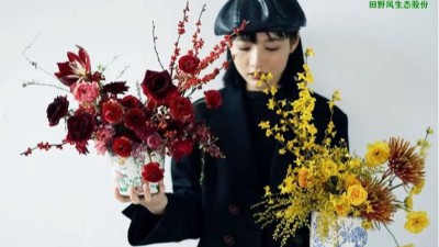 2021年宵花怎么选？这些绝对是你想要的！