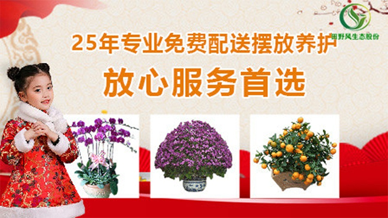 年花预购