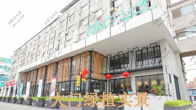 广州西城智汇park植物出租案例