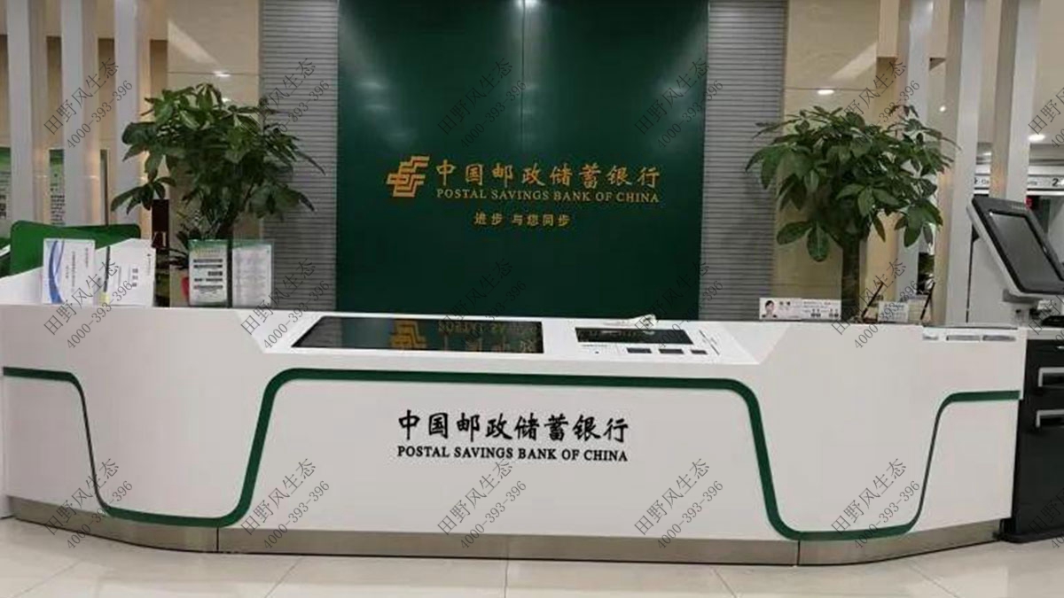 中国邮政储蓄银行绿植租摆，中国邮政储蓄银行绿植租赁