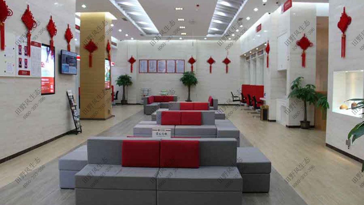 中国邮政储蓄银行绿植租摆，中国邮政储蓄银行绿植租赁