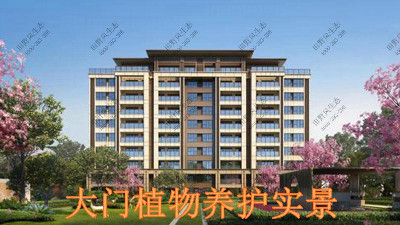 广东奥园草坪养护案例