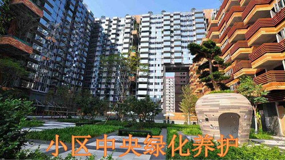 广东万科城绿植养护案例