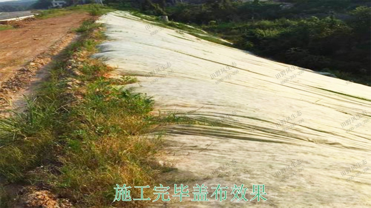 新丰县工业园区复绿工程