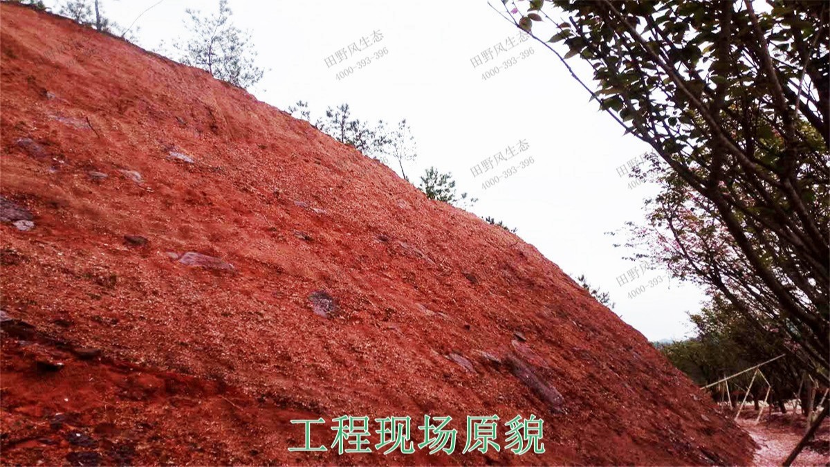 江西广昌火龙果基地厂区挂网植草