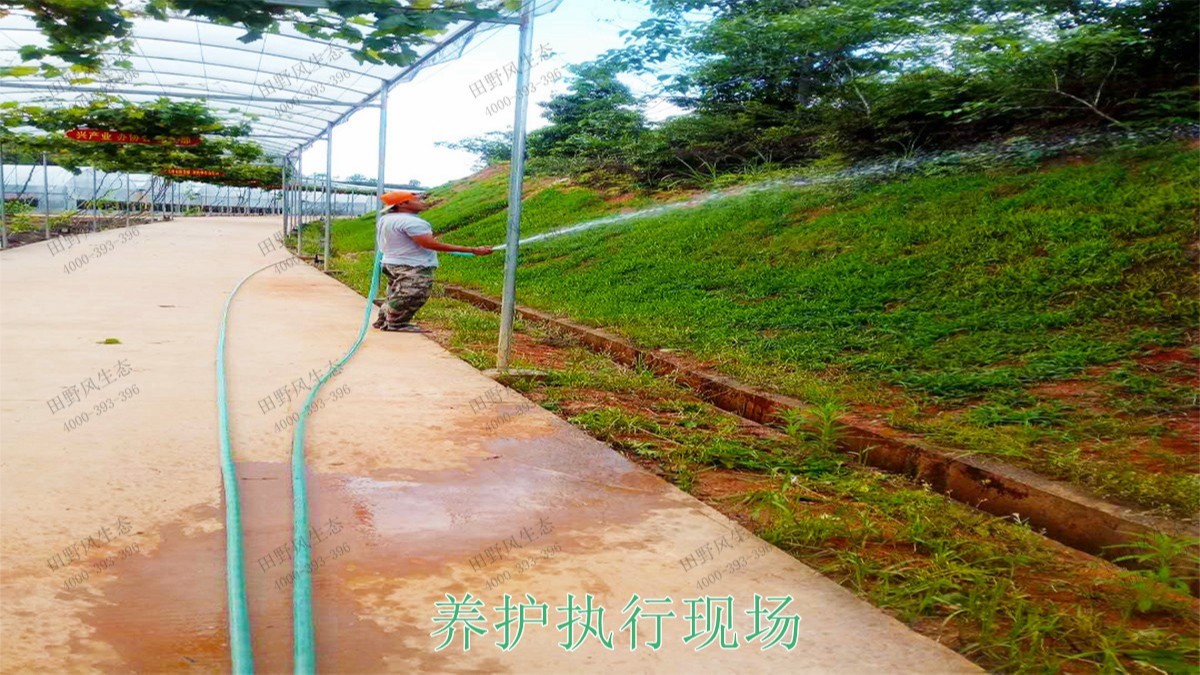 江西广昌火龙果基地厂区挂网植草