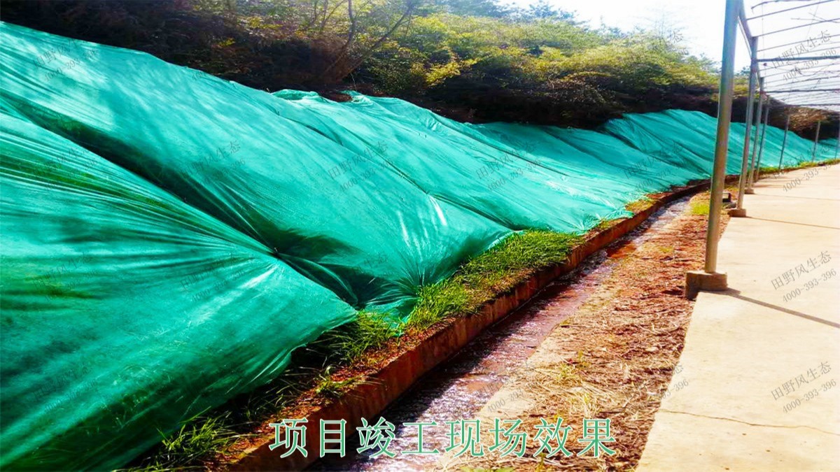 江西广昌火龙果基地厂区挂网植草
