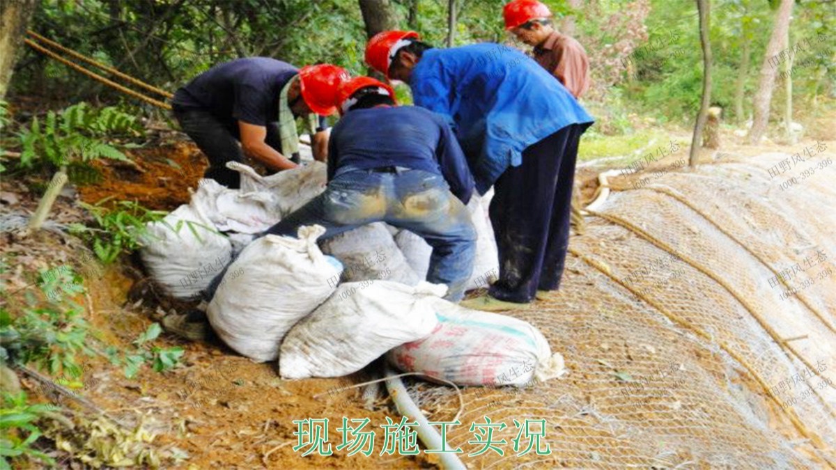 连平县工业园区边坡绿化