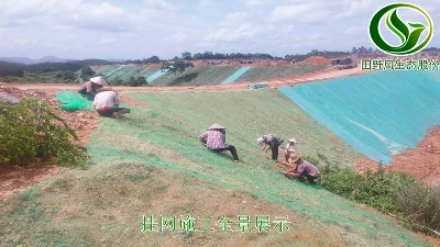 三维土工网边坡植草技术