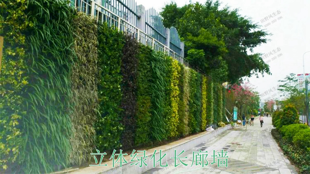 广西南宁市政立体绿化工程