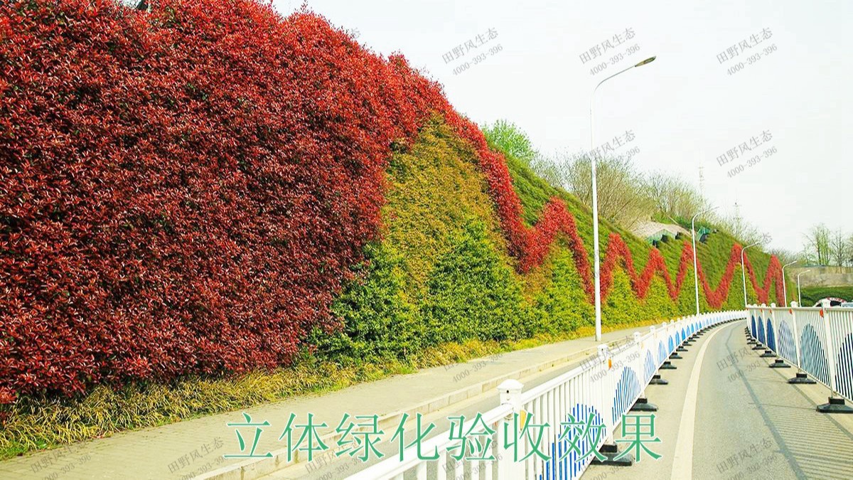 广州黄埔立体绿化建设工程