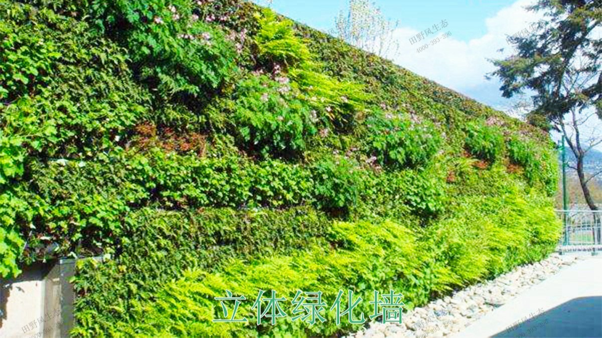 惠州市区园林立体绿化工程