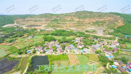 阳山白云岩矿护坡复绿尾矿工程