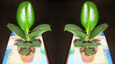 全刚