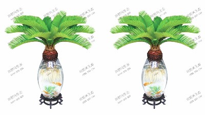 袖珍苏铁