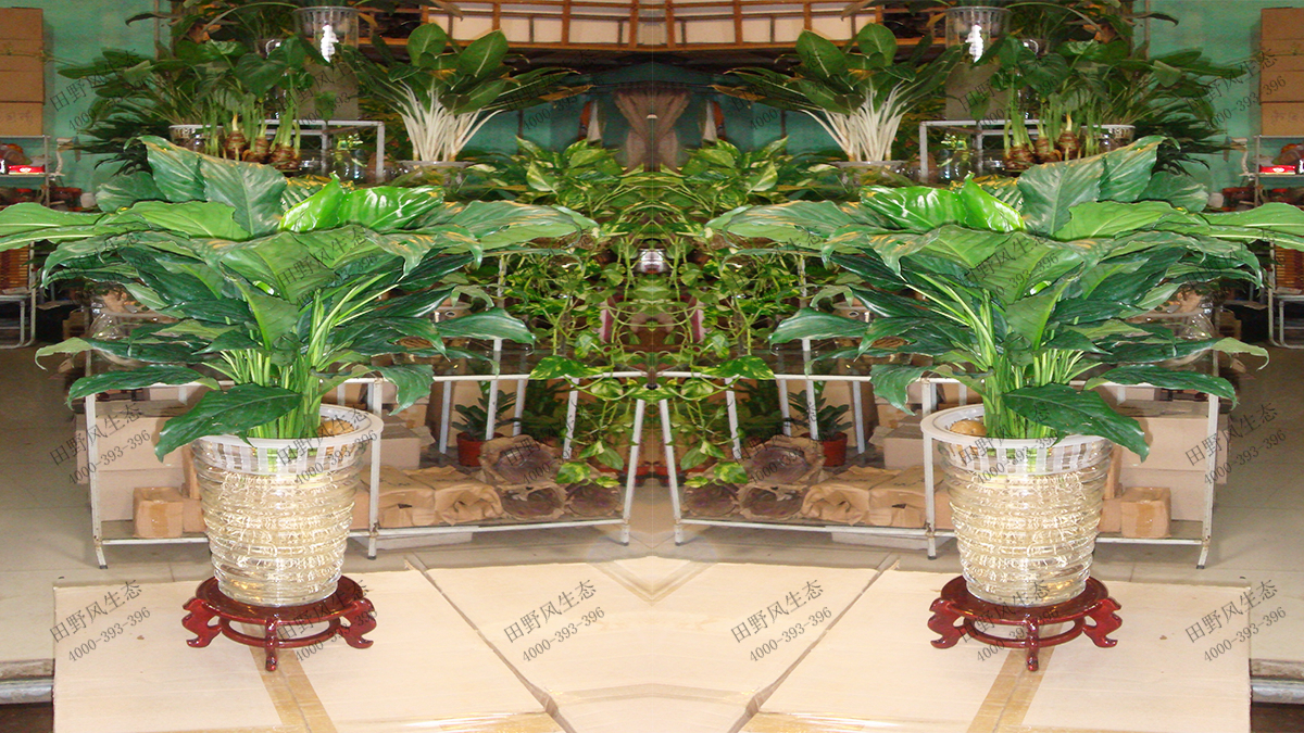 一帆风顺