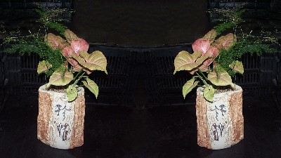 竹粉芋