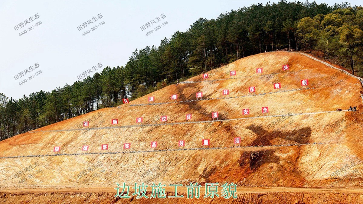 贵广高铁广东段高铁路边坡喷草