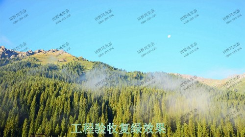 福建龙岩铁矿山边坡复绿