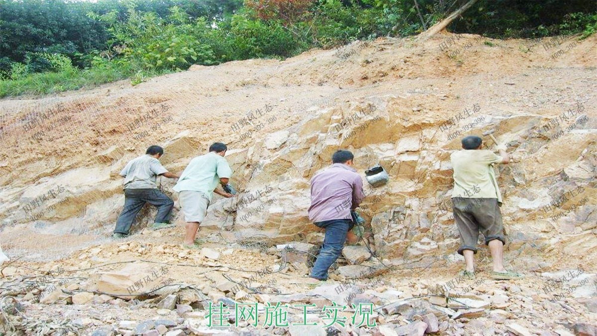 福建龙岩铁矿山边坡复绿