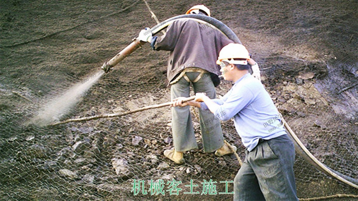 福建龙岩铁矿山边坡复绿