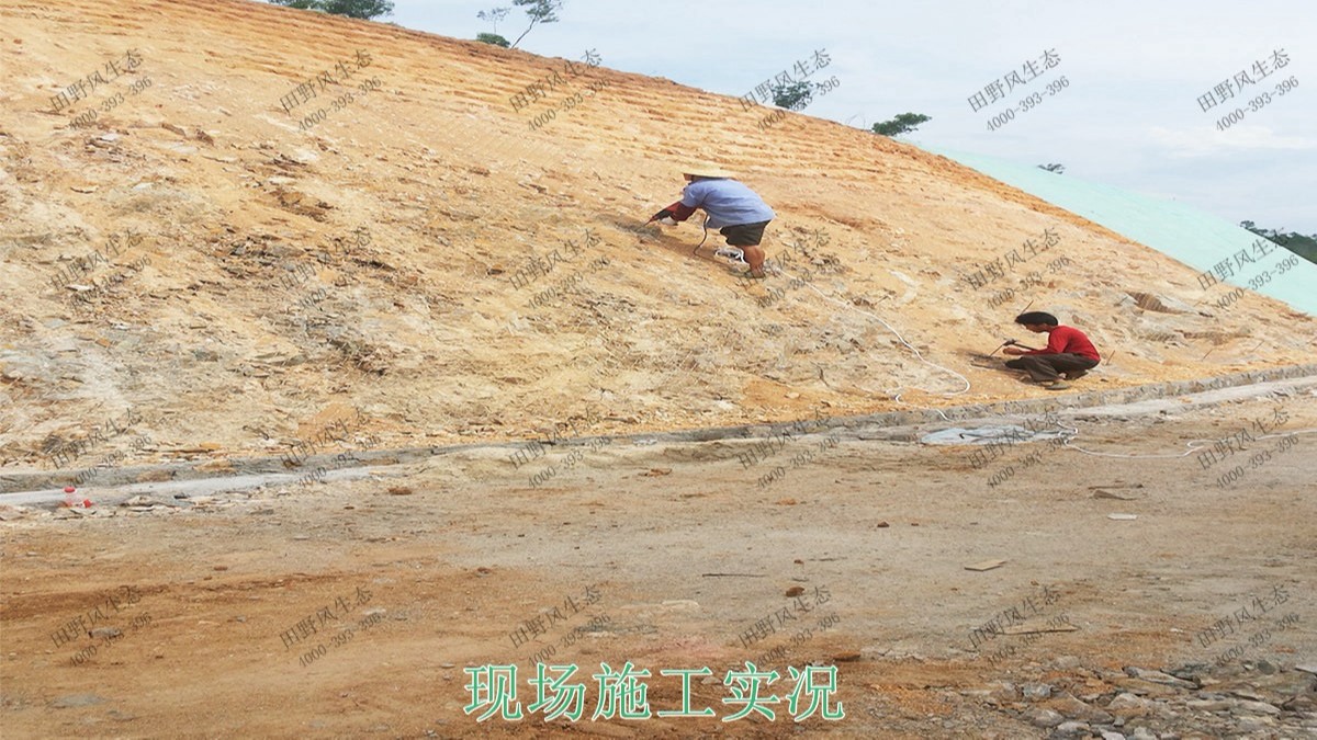 清远界牌石场矿山边坡喷草