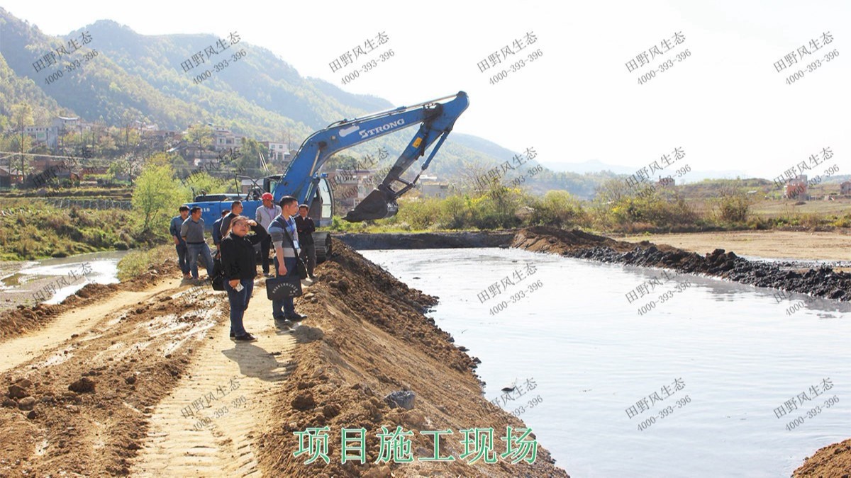 广州黄埔九龙涌河道边坡复绿