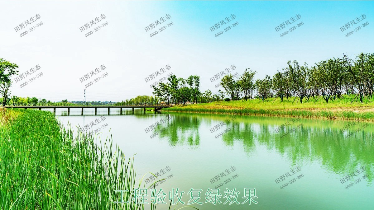 中山翠享湿地公园河道边坡植草