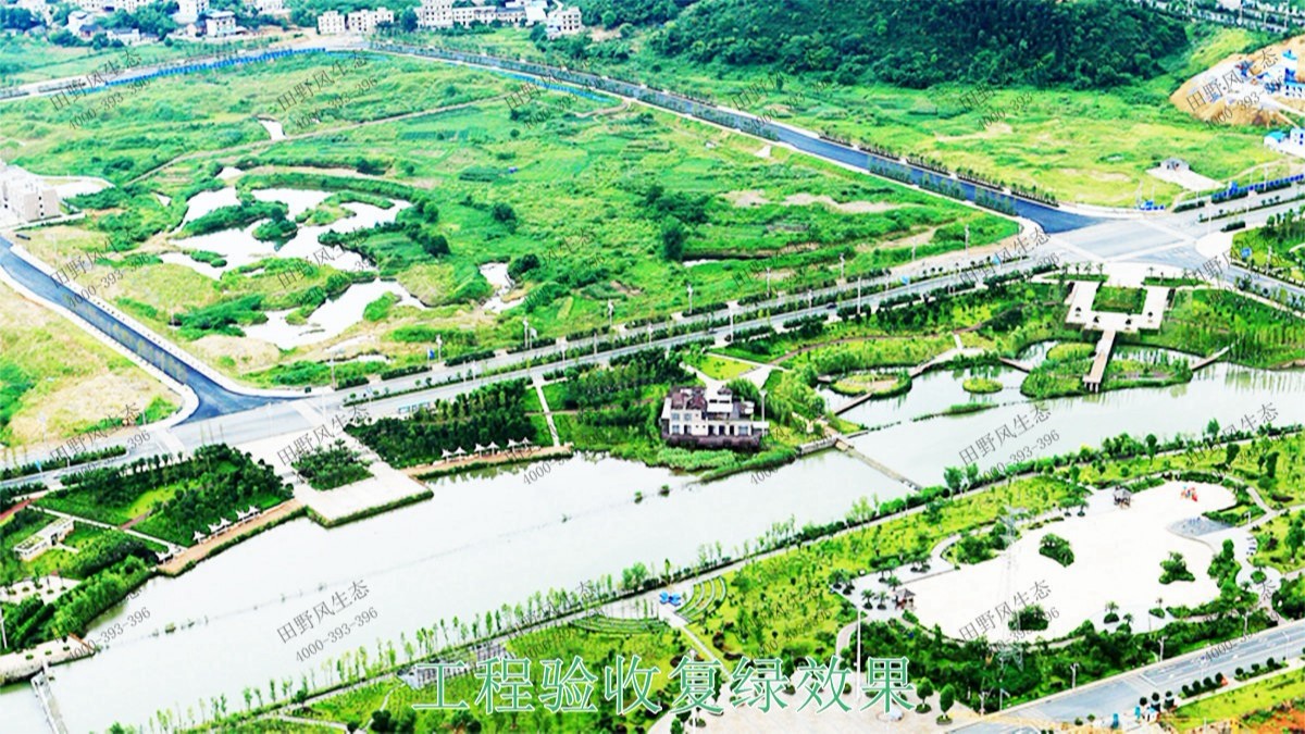 中山翠享湿地公园河道边坡植草