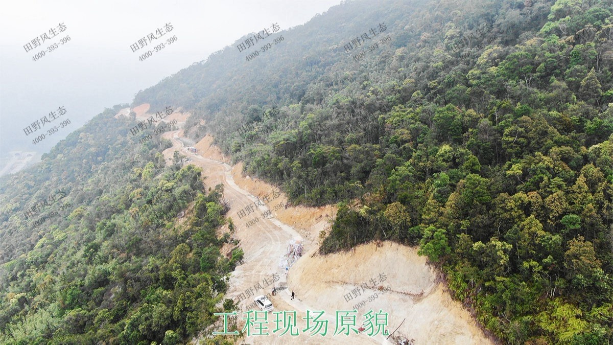 海丰莲花山山体滑坡地质灾害边坡喷草