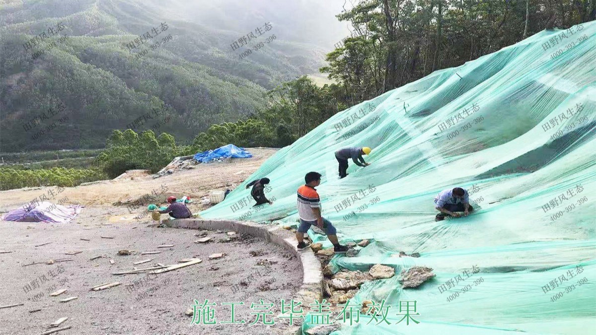 海丰莲花山山体滑坡地质灾害边坡喷草