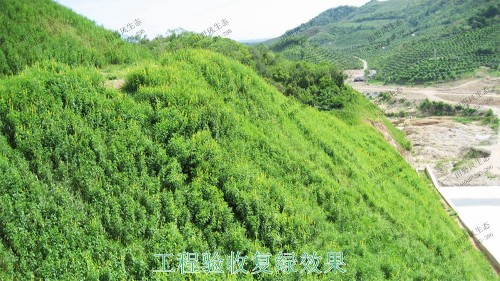 广州白水山森林公园生态修复