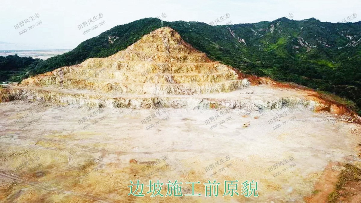 乐昌鳖石石场岩石绿化施工