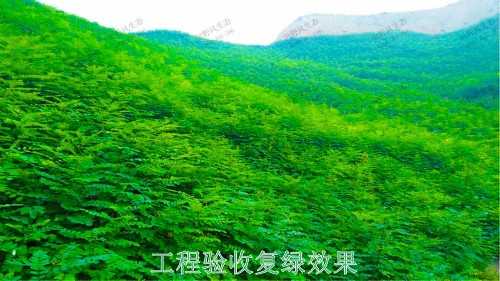 梅州永福石场生态修复工程