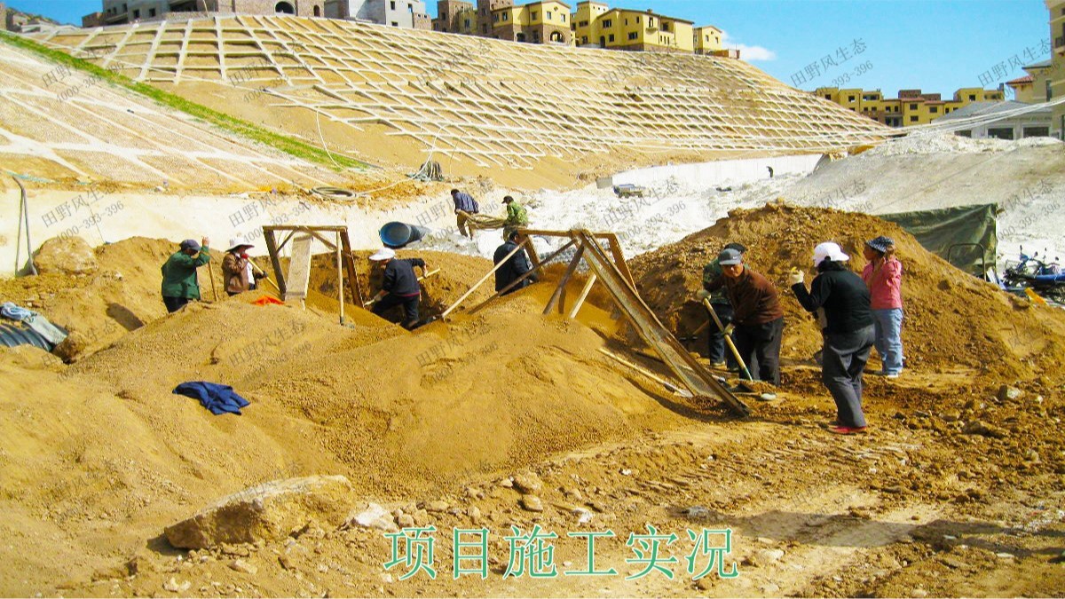 广珠高速中山段公路边坡绿化高速工程