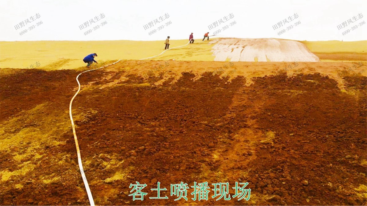 广珠高速中山段公路边坡绿化高速工程