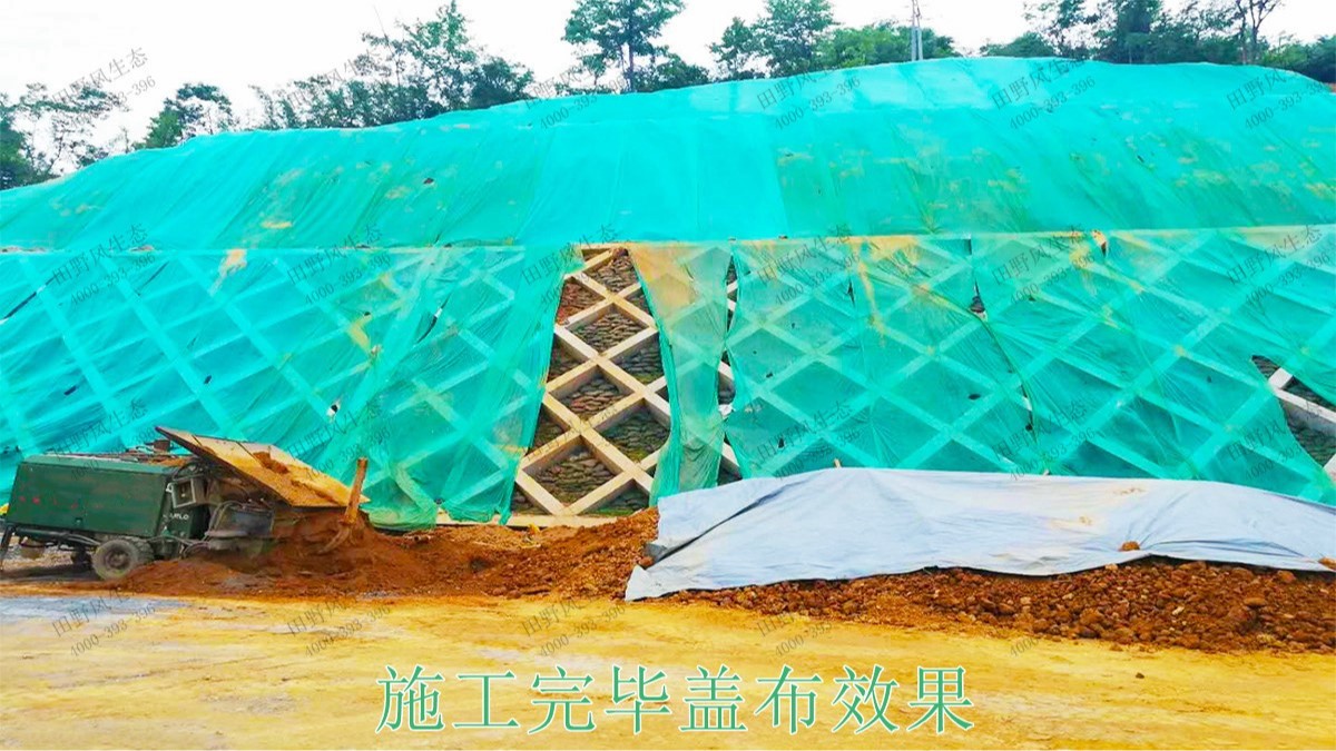 广珠高速中山段公路边坡绿化高速工程