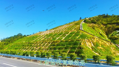 惠大高速惠州段公路边坡喷播工程